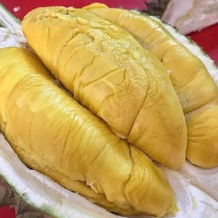 Makanan Hits Medan Wajib Coba Meski Hanya Sekali
