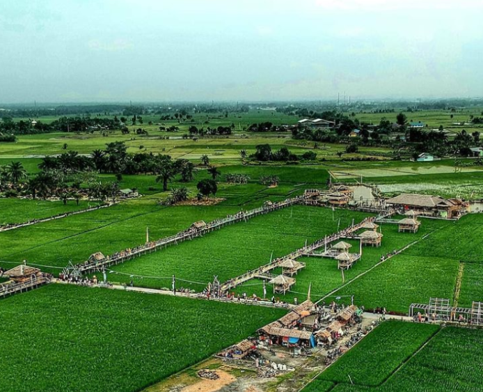 Wisata Sawah Pematang Johar: Harga Tiket Masuk, Lokasi, dan Info Lain