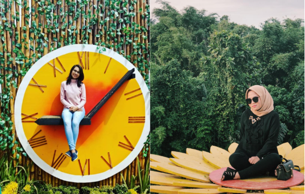 Sunflower Garden: Daya Tarik, Lokasi dan Harga Tiket Masuk